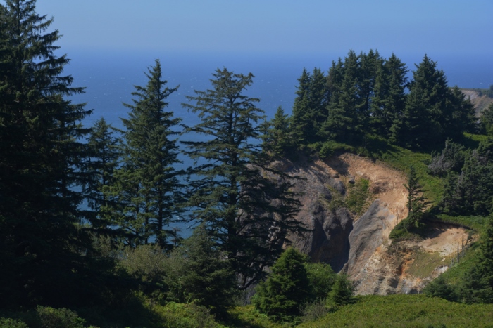 Viewpoint along the 101 near the Oswald West State Park